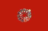波密回收红酒